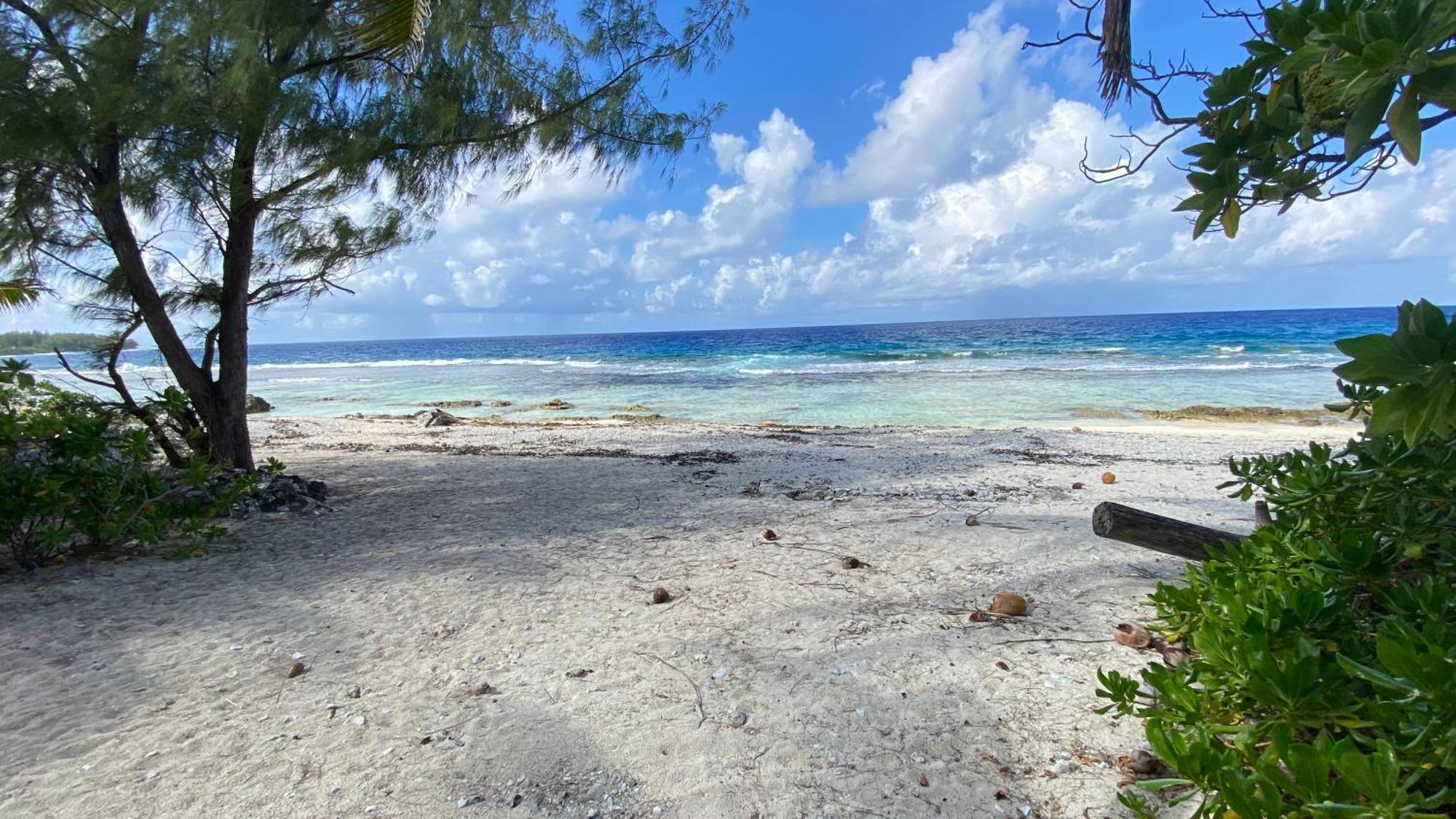 Moorea Chill And Beach Lodge Teavaro ภายนอก รูปภาพ
