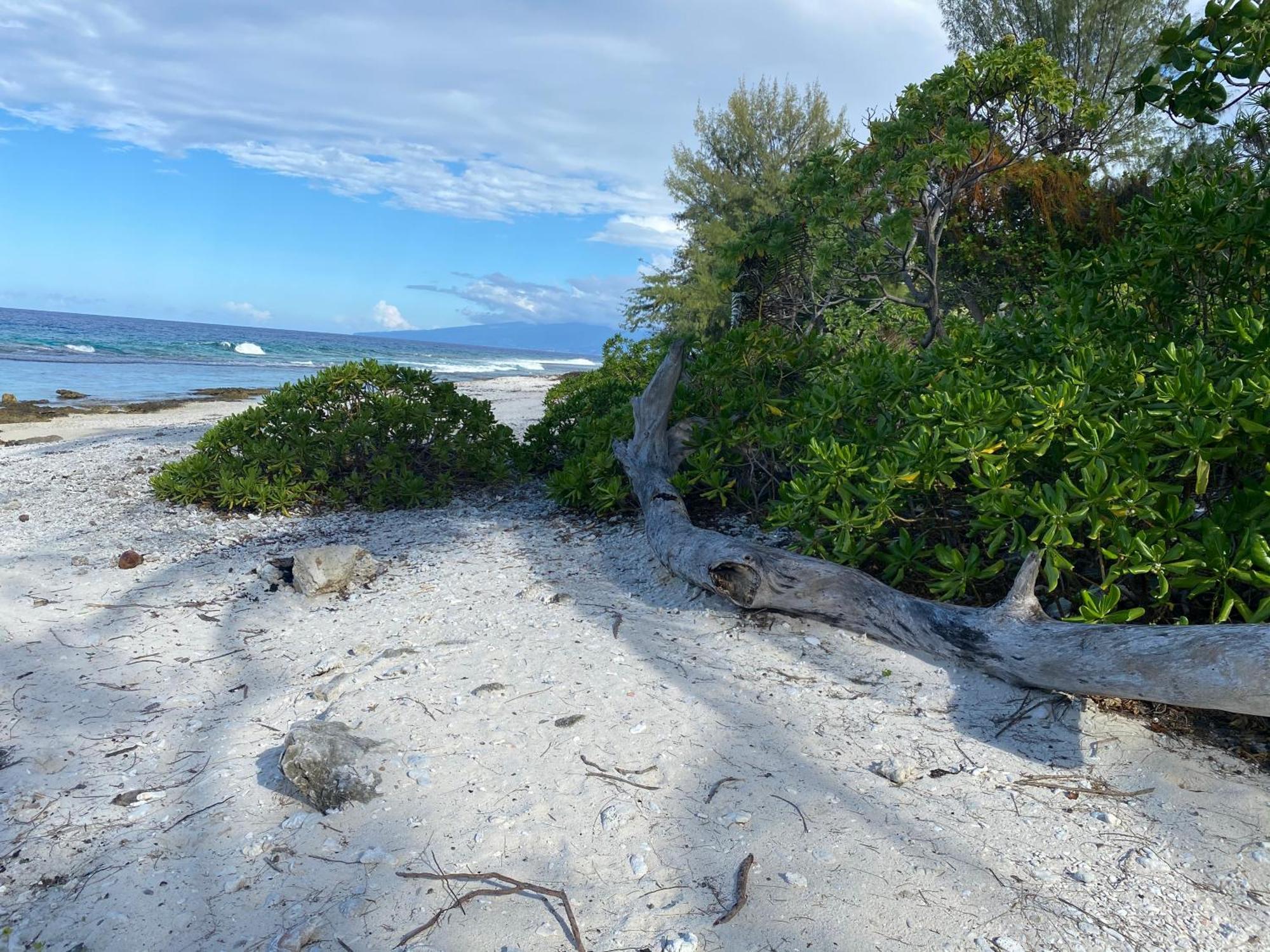 Moorea Chill And Beach Lodge Teavaro ภายนอก รูปภาพ