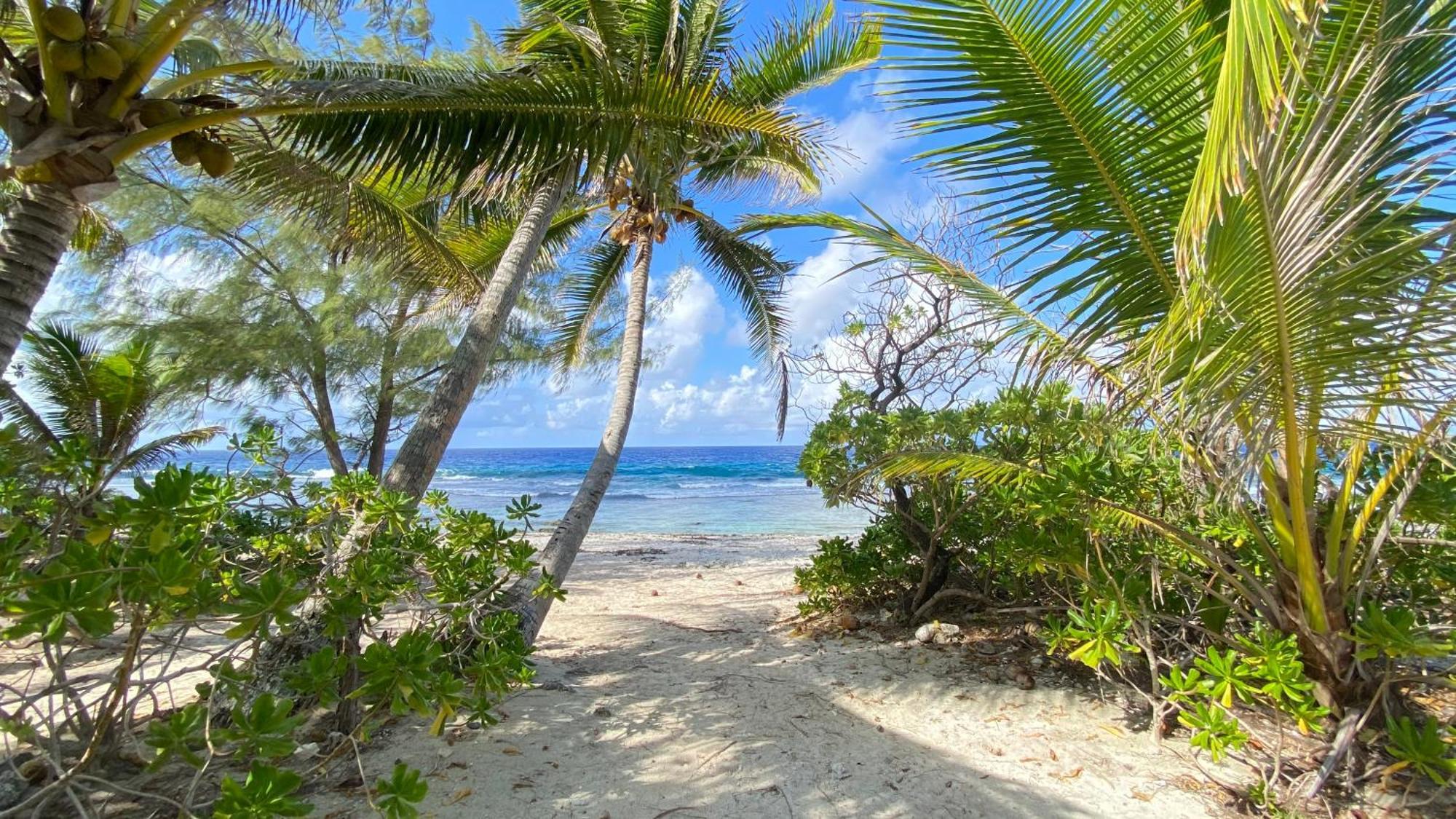 Moorea Chill And Beach Lodge Teavaro ภายนอก รูปภาพ